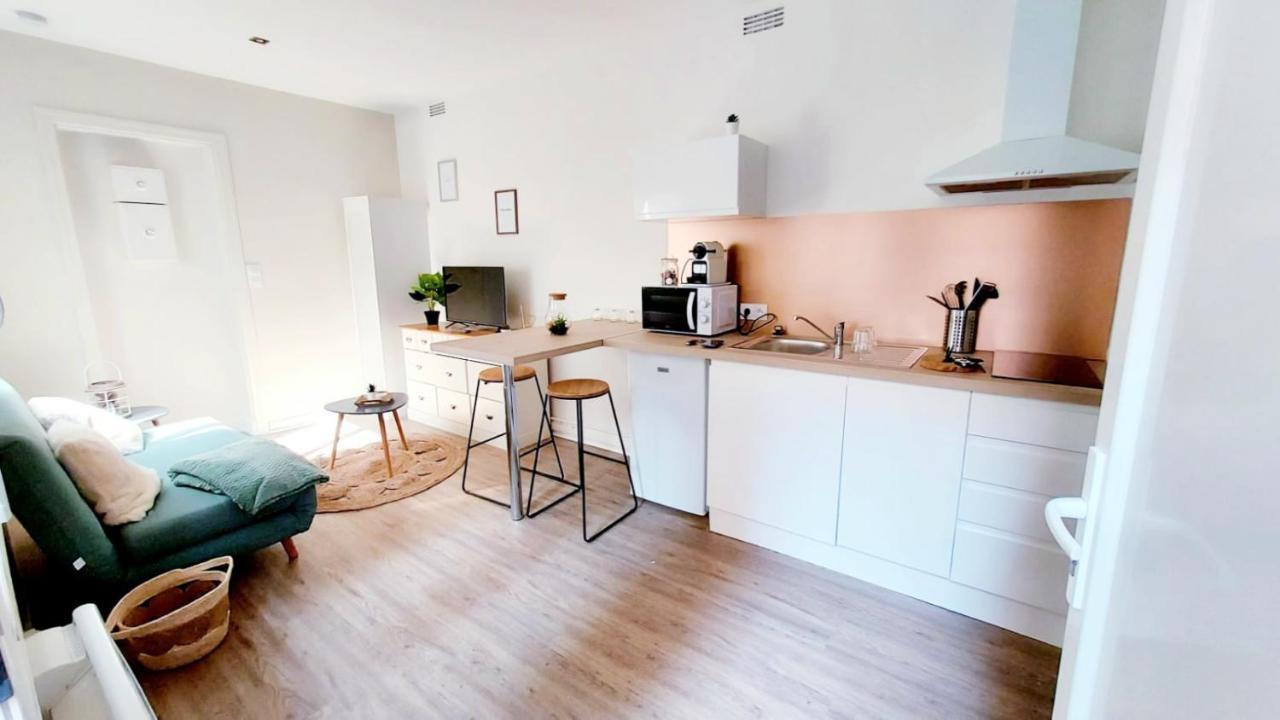 Cosy Yucca - 1Ch - Quartier Des Halles & Parking Pau Buitenkant foto